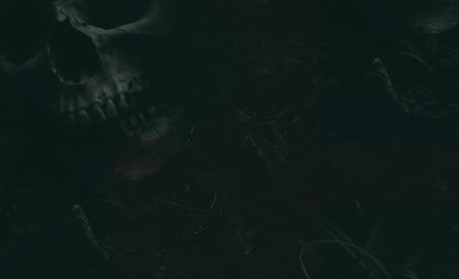 Placeholder for alt text